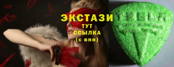 гашик Алексин