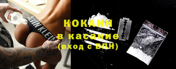 гашик Алексин