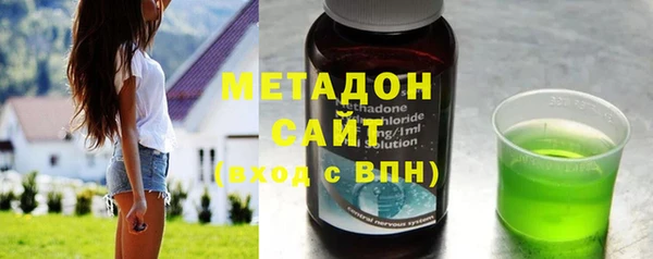 гашик Алексин