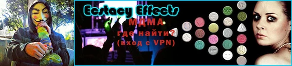 гашик Алексин