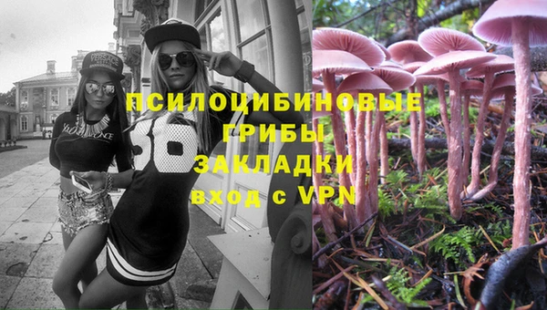 дурь Алексеевка
