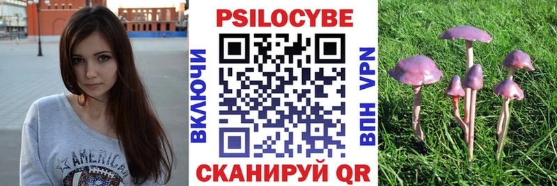 Псилоцибиновые грибы мицелий  Бежецк 